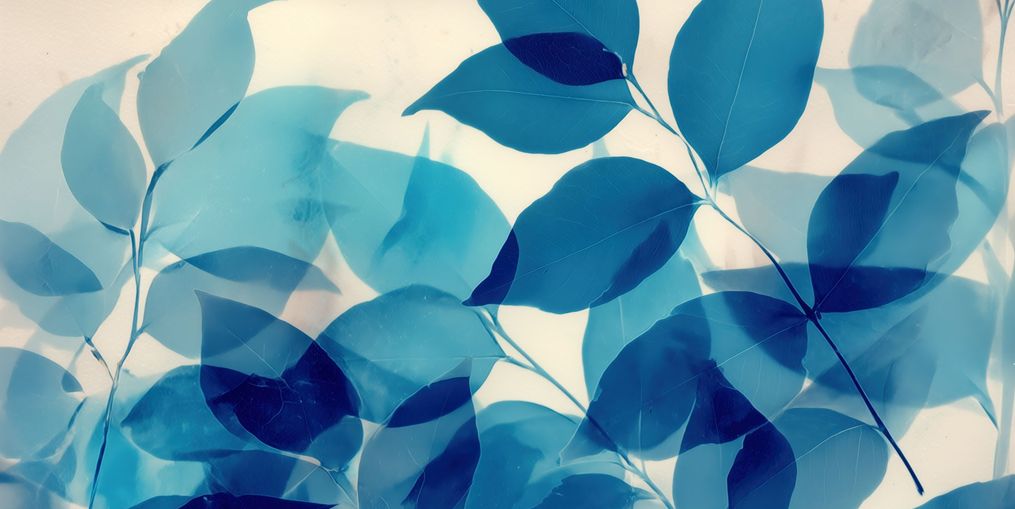 Leaves Spread in Light