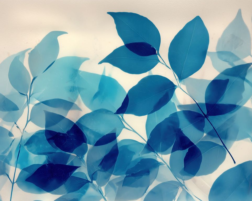 Leaves Spread in Light 