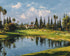 Still Water in Front of the Green