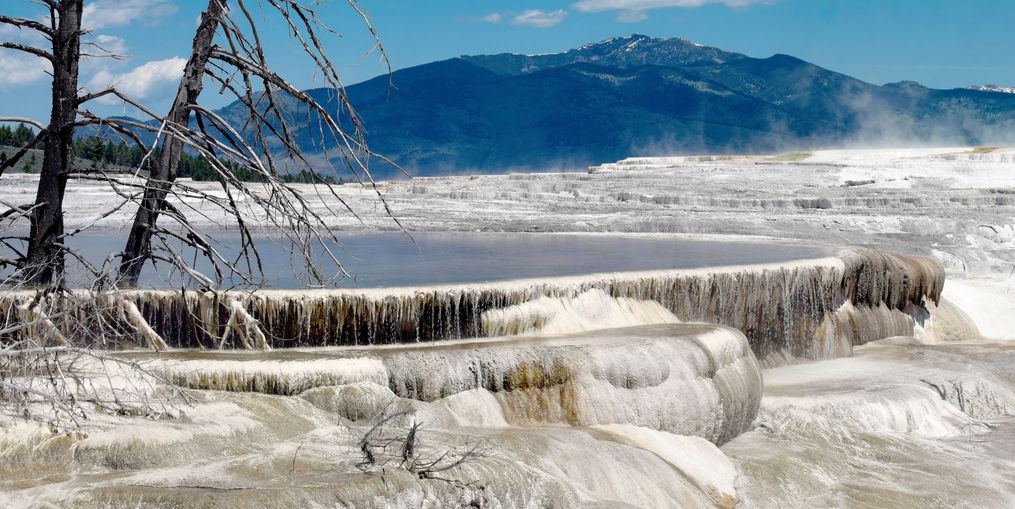 Mammoth Hot Springs