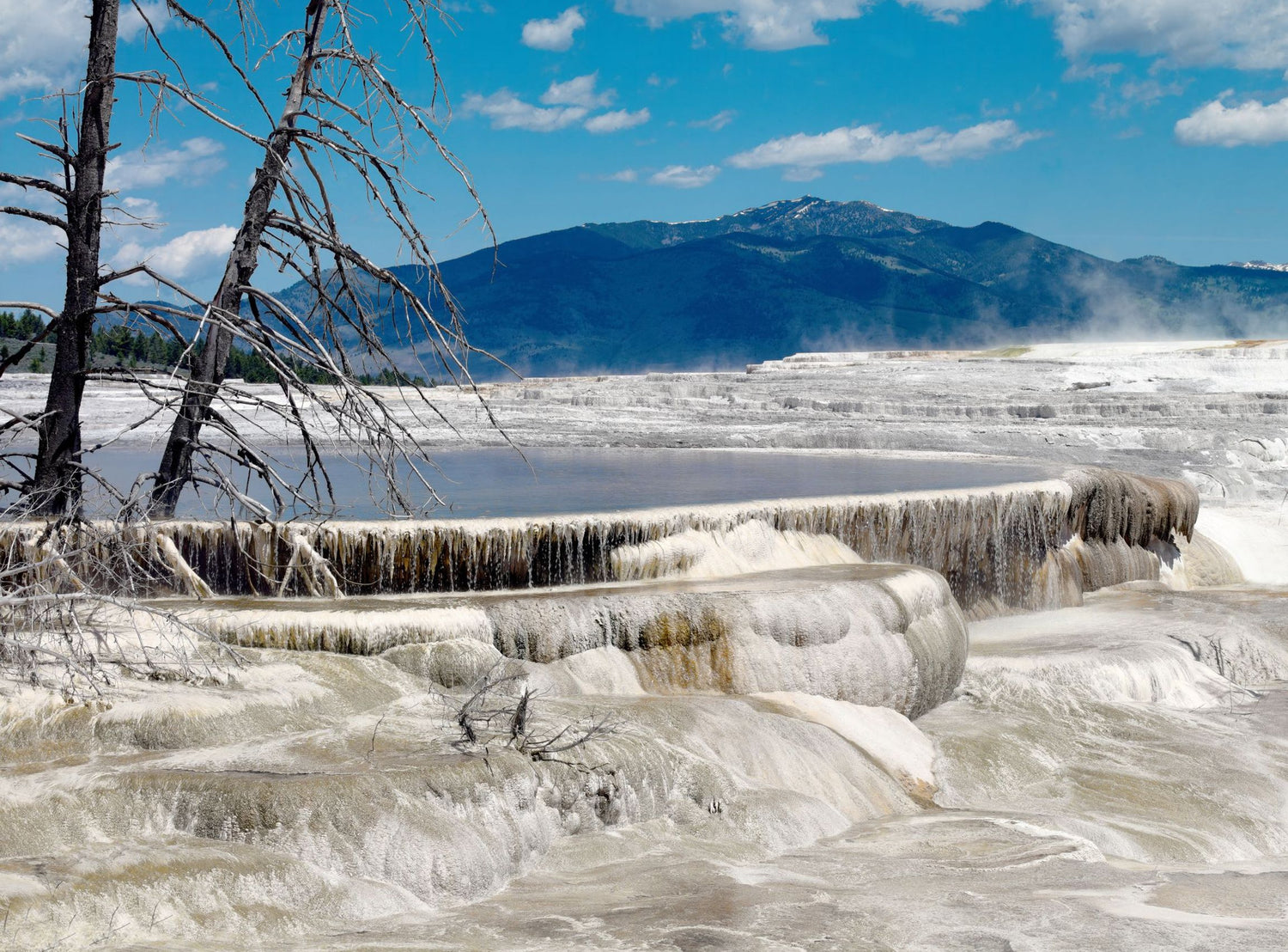Mammoth Hot Springs