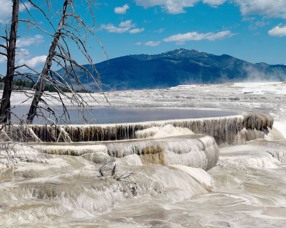 Mammoth Hot Springs