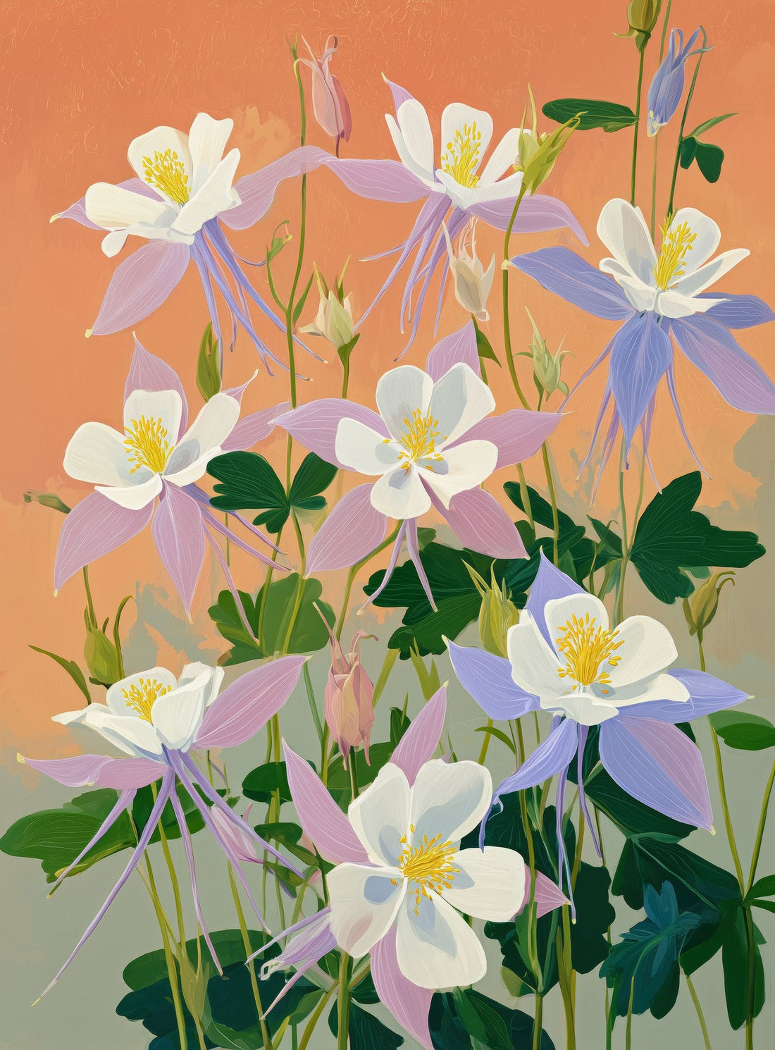 Columbines in Bloom