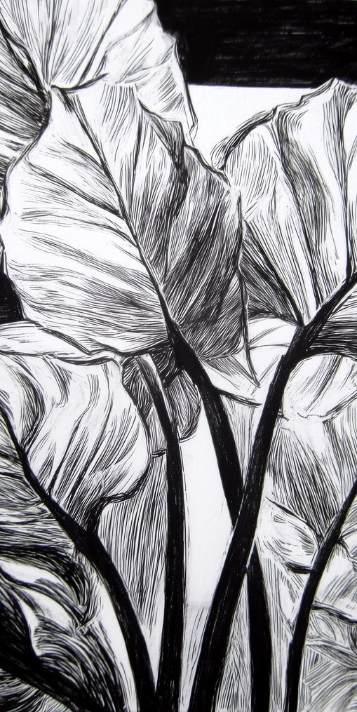 Overlapping Leaves on Dark Ground