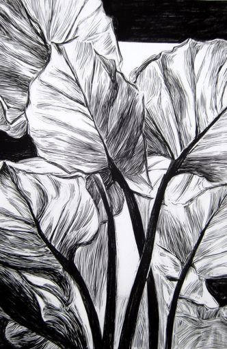 Overlapping Leaves on Dark Ground
