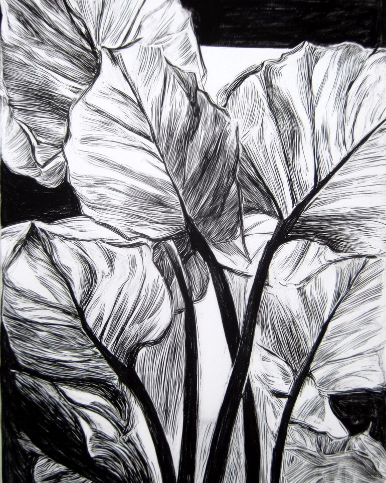 Overlapping Leaves on Dark Ground