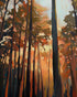 Forest Awakening