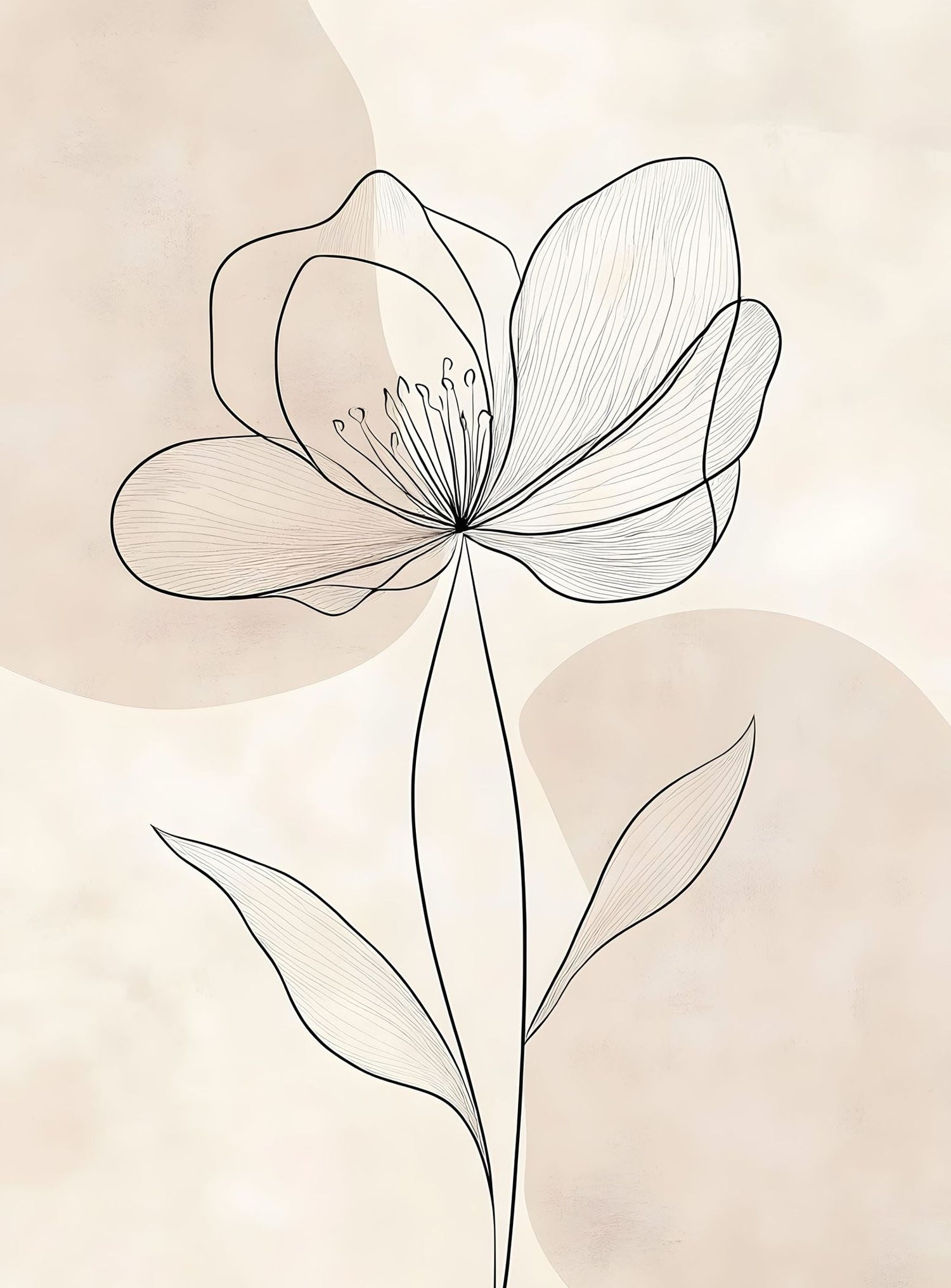 Single Bloom