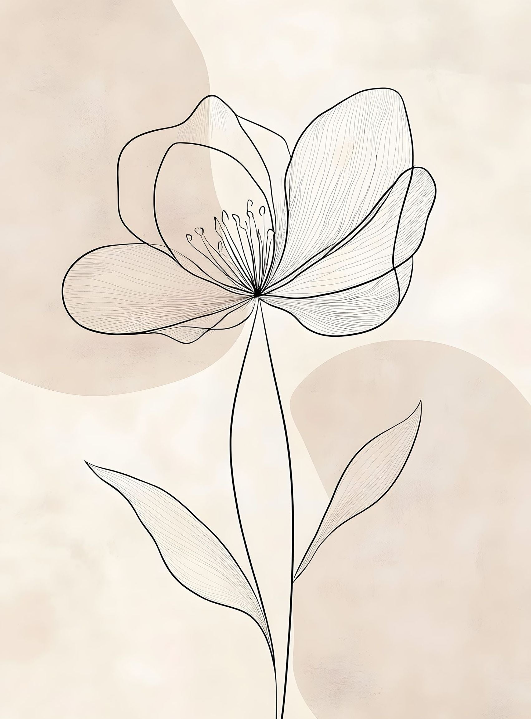 Single Bloom