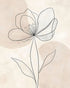 Single Bloom