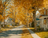 Golden Street