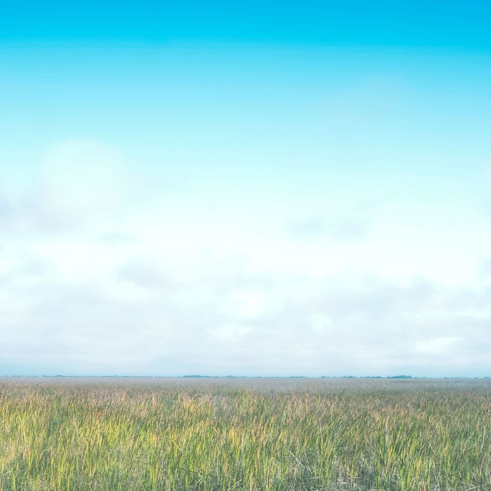 Grasslands