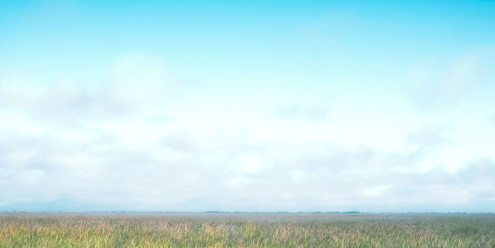 Grasslands