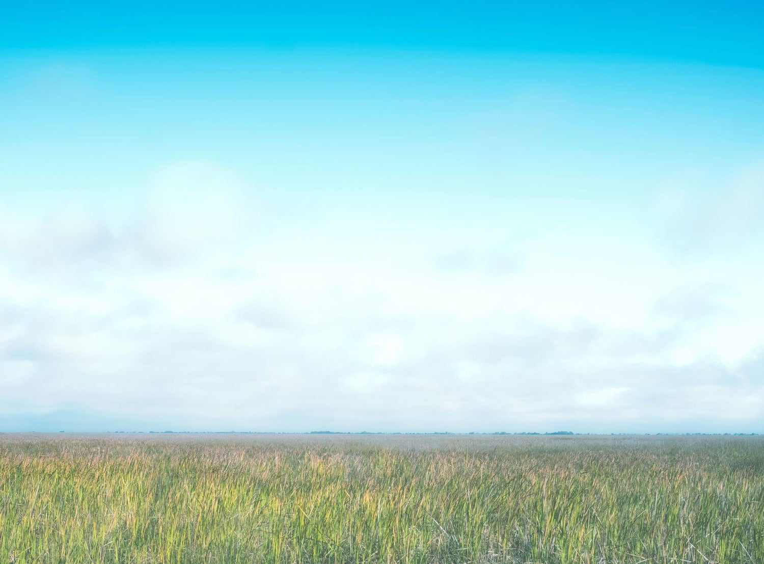 Grasslands