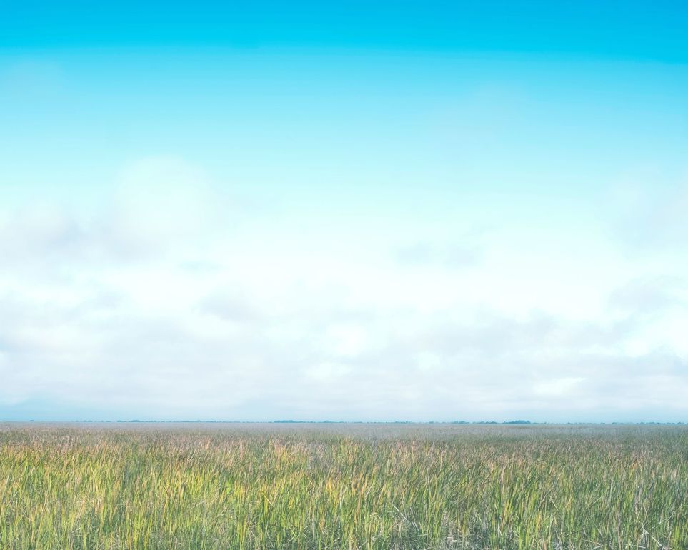 Grasslands