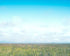Grasslands