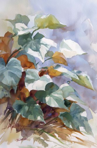 Garden Leaves After Rain