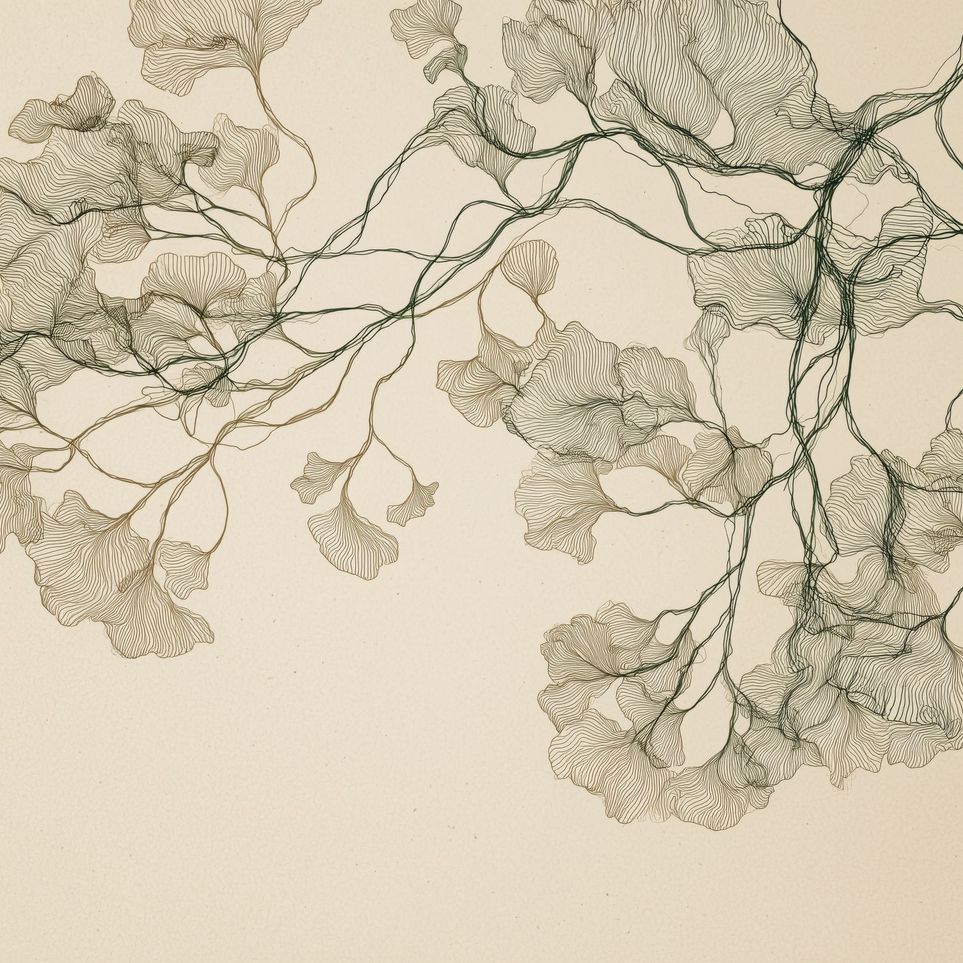 Open Canopies in Ink