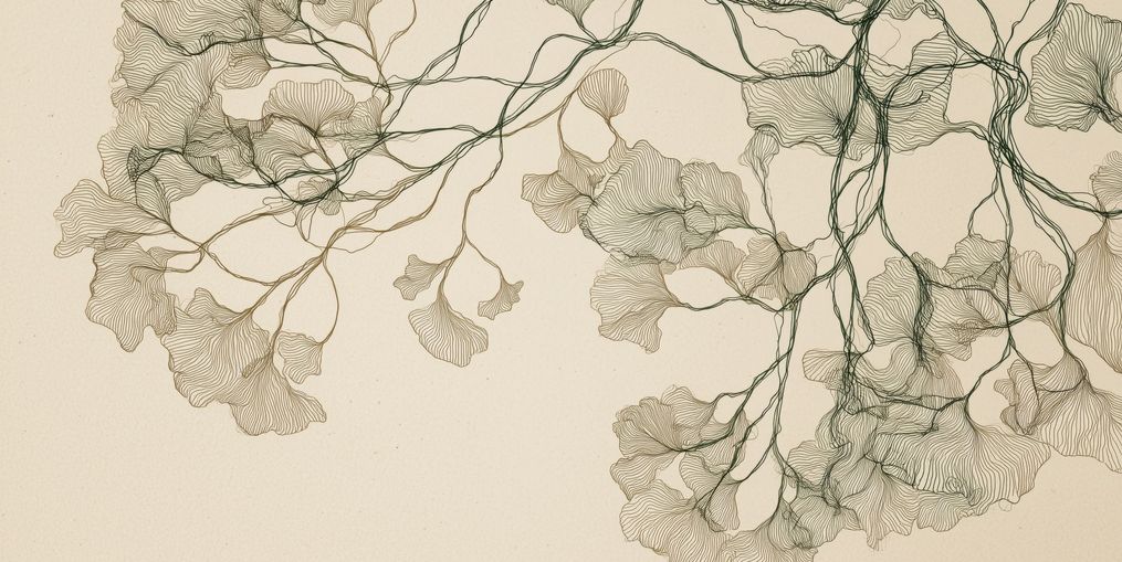 Open Canopies in Ink