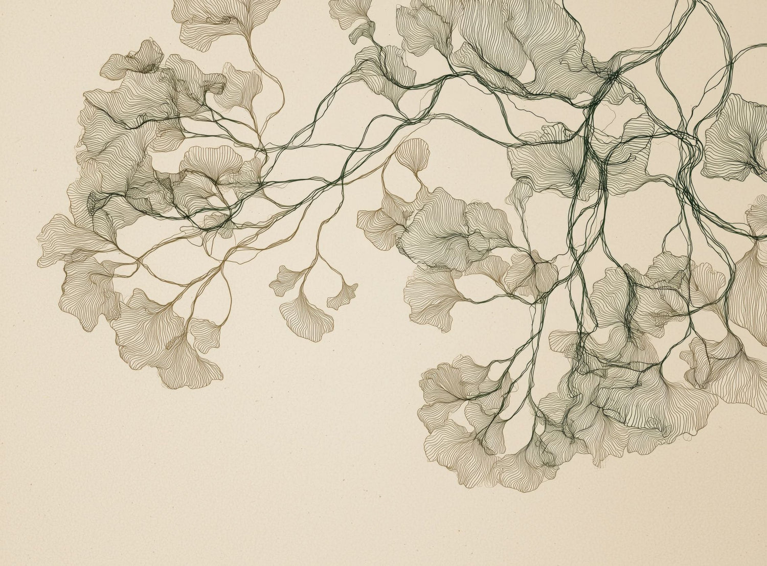 Open Canopies in Ink