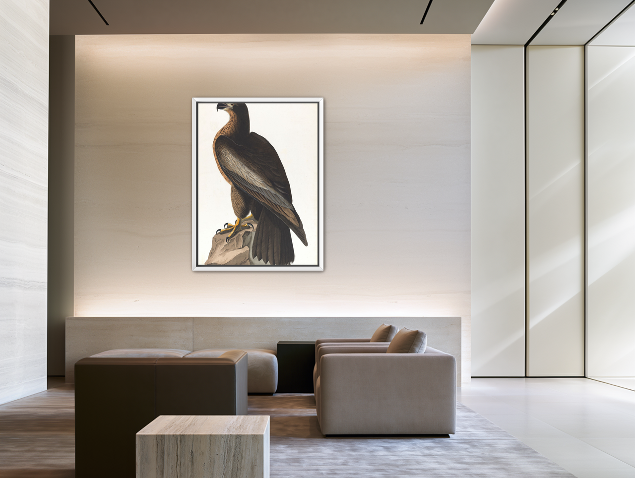 Brown hawk on rock room view