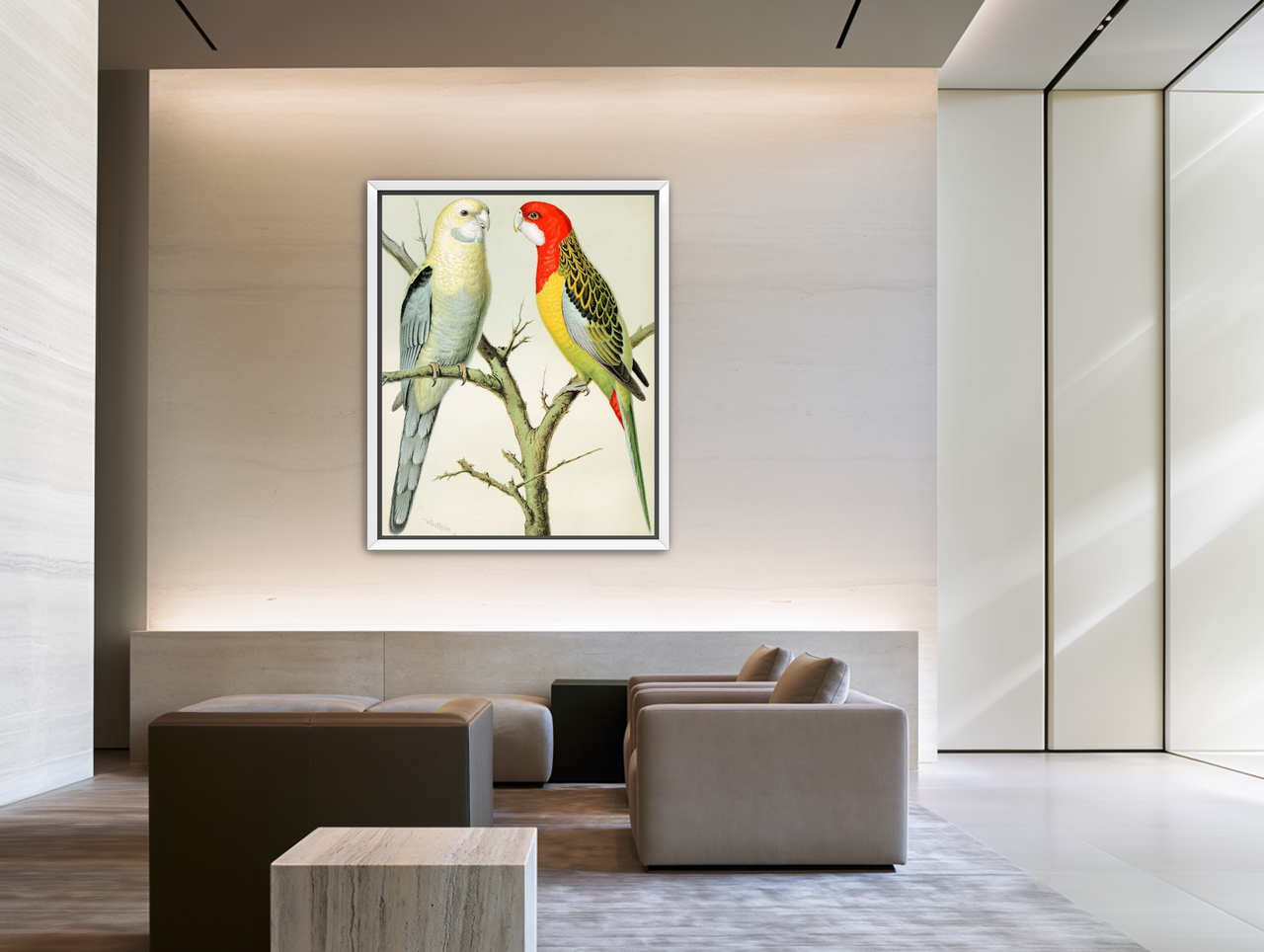 Beaks across the branch room view