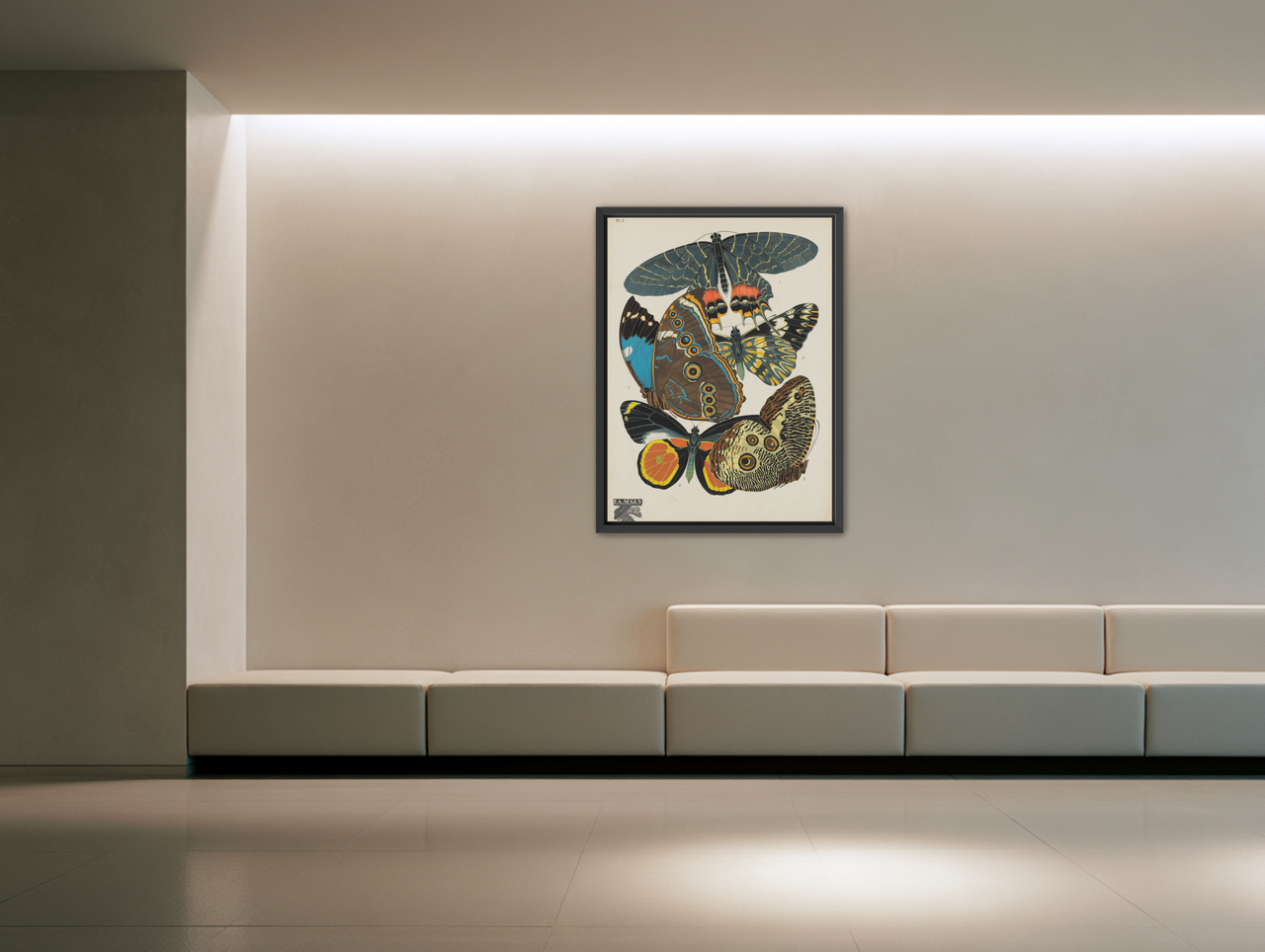 Five butterflies in quiet display room view