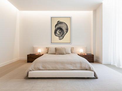 A hollow within black lines room view