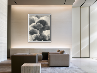 Ginkgo leaves in shadow room view