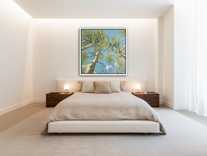 Room image for product 9122375270653