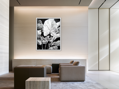 Room image for product 9122466857213
