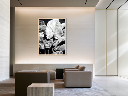Room image for product 9122473804029