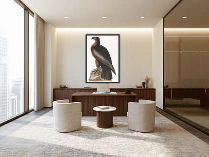 Brown hawk on rock room view