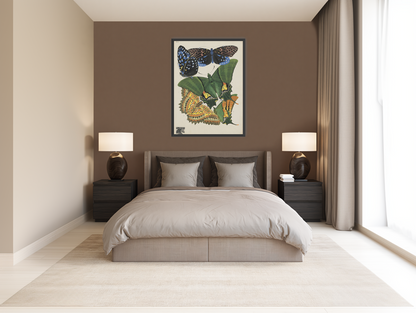 Butterflies on a pale plate room view