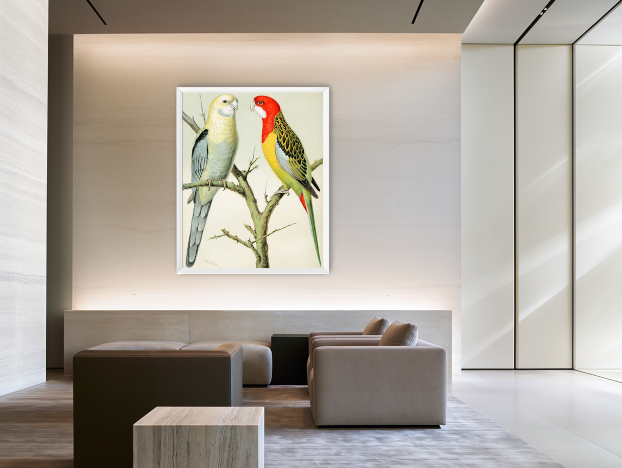 Beaks across the branch room view