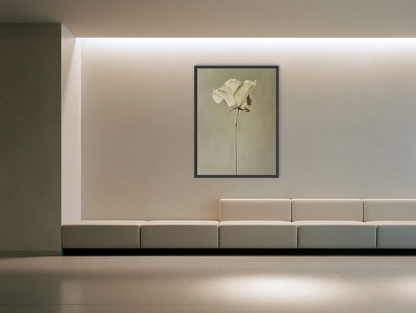 One flower and its hush room view