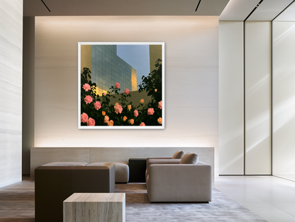 Roses against the glass wall room view